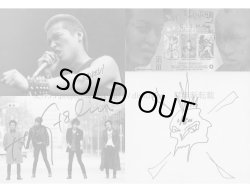 画像4: 安田潤司 / パンクス 青の時代 (book) Du books