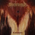 BURDEN OF DESPAIR / 原罪神授 -Confutatis- (cd) Self  
