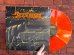 画像1: INDICATION / Ataraxia of the phoenix (Lp) Daze (1)