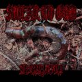 SWEAR TO GOD, BAYOU / Split (cd) 