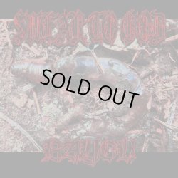 画像1: SWEAR TO GOD, BAYOU / Split (cd) 