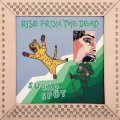 RISE FROM THE DEAD / Sugar spot (cd) Affinity sound