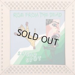 画像1: RISE FROM THE DEAD / Sugar spot (cd) Affinity sound