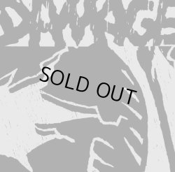 画像1:   DAMAGE / Sins of our fathers (Lp) Generation 