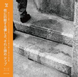 画像1: ■予約商品■ TIVE / 核に匹敵する優しさ、そして諦め (cd)(Lp) Excelled 