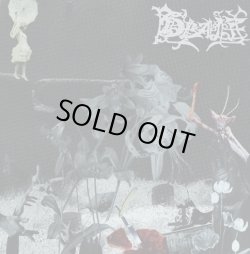 画像1: DEALE / st (cd) WDsounds 