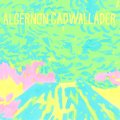 ■予約商品■ ALGERNON CADWALLADER / Trying not to have a thought (cd) Saddle creek