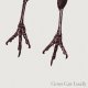 CROWS CAW LOUDLY / st (7epx2) Longslope 