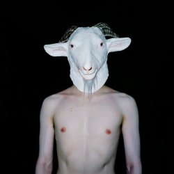 画像1: NEGATIVE SUN / Menticide (Lp)(tape) Twelve gauge 