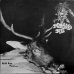 画像2: ■予約商品■ RUPTURE, BELCHING BEET / split (Lp) Hate ape (2)