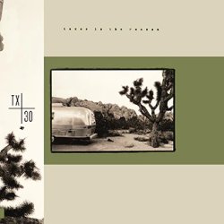画像1: ■予約商品■ TEXAS IS THE REASON / st -Tx30 special edition- (12") Revelation  