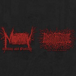 画像1: MORTIFY, HUMAN CORPSE ABUSE / Split (cd)