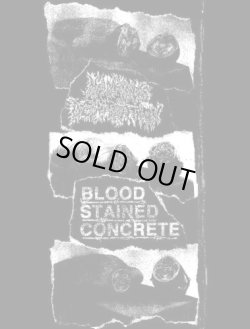 画像1:   BLOOD STAINED CONCRETE, MANKIND’S DEVASTATION / Split (tape) 625 Thrashcore