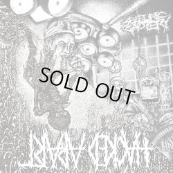 画像1:   HACKED APART, SULFURIC CAUTERY / Split (7ep) 625 thrashcore/Malokul 