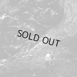 画像1: ■予約商品■ INTERNAL / Instinct (7ep) Rsr 