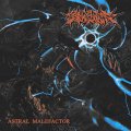 SOUL HATER / Astral malefactor (cd) Born dead collective