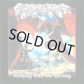   STONE COLD / Nothing can go wrong (cd) Born dead collective 