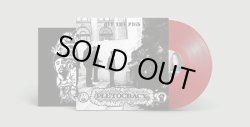 画像3: PLUTOCRACY / Off the pigs (Lp) F.o.a.d.  