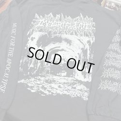 画像1: IMMORTAL FATE / Beautiful (long sleeve shirt)  