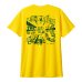 画像3: ■予約商品■ LIP CREAM / KILL THE IBM   DAISY　(t-shirt)   (3)