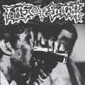 FOILS OF SEIGHT / Into the foils (cd) Carnalismo  