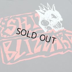 画像2:   SHIT BLIZZARD / Demo (t-shirt)  