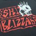 画像2:   SHIT BLIZZARD / Demo (t-shirt)   (2)