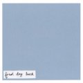 FIRST DAY BACK / Forward (cd) Waterslide 