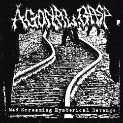 画像1: ■予約商品■ AGONAL GASP / Mad screaming hysterical revenge (cd) Self  