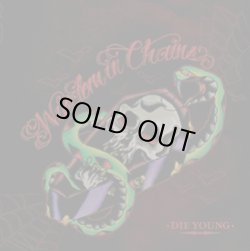 画像1: WISDOM IN CHAIN / die young (cd) 