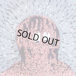 画像1: THE SCRIBBLER, WWIT / split (cd) SUBURBIA WORKS