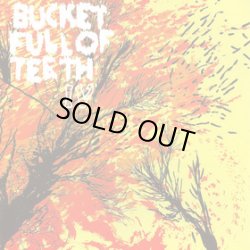 画像1: BUCKET FULL OF TEETH / IV (cd) Level plane