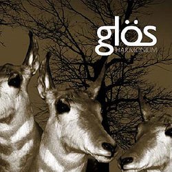 画像1: GLOS / harmonium (cd) lovitt Records