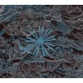 SHIPWRECK A.D. / Abyss (cd) Deathwish, Inc
