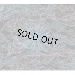 画像1: SHIPWRECK A.D. / Abyss (cd) Deathwish, Inc