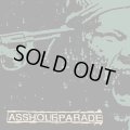 ASSHOLE PARADE / Embers (cd) No Idea Records