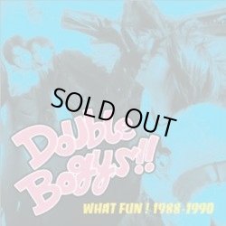 画像1: DOUBLE BOGYS / What Fun-1988-1990 (cd) Solid 