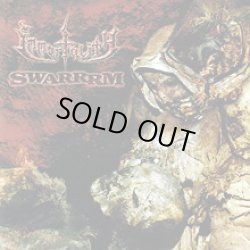 画像1: SWARRRM, IMMORTALITY / split (cd) Hardcore kitchen