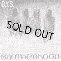 DYS / Brotherhood (cd) (Lp) taang