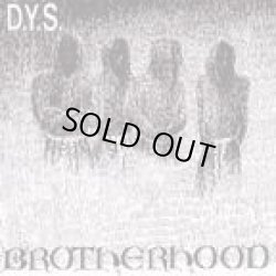 画像1: DYS / Brotherhood (cd) (Lp) taang