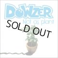 DOWZER / Not As Plant (cd) Waterslide