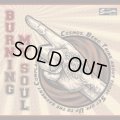 V.A. / BURNING MY SOUL (cd) Straight up