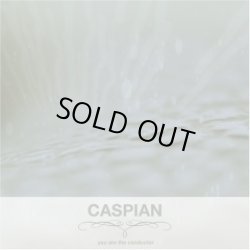 画像1: CASPIAN / You Are The Conductor (cd) Dopamine Records