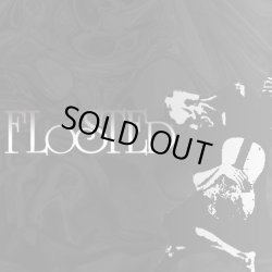画像1: FLOSTED / demo (cdr) self