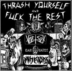 画像1: V.A / THRASH YOURSELF AND FUCK THE REST (Lp) Break the chain 