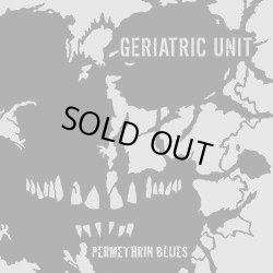 画像1: GERIATRIC UNIT / permethrin blues (LP) La vida es un mus