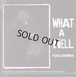 画像1: V.A / WHAT A HELL FUKUSHIMA (cd+zine) Human Recovery Project