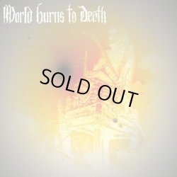 画像2: WORLD BURNS TO DEATH, BLOWBACK / split (7ep) HG fact