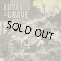 LOYAL TO THE GRAVE / North Truth (cd) Devils Head