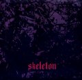 SKELETON / no fire in the desolate land (LP)